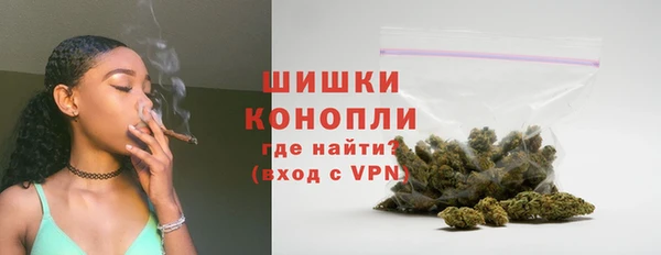 spice Ельня