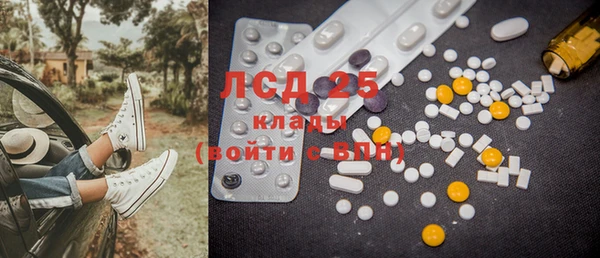 spice Ельня