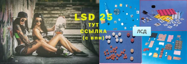 spice Ельня