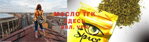 spice Ельня